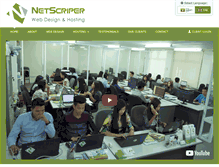 Tablet Screenshot of netscriper.com
